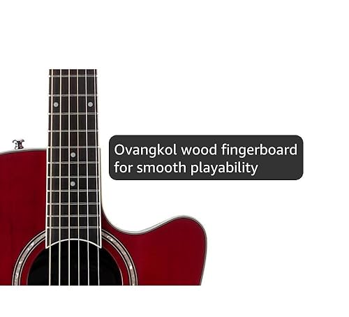 【K K】Ovation Applause AE246 Amazon.com: Ovation Applause Standard 6 String Acoustic-Electric